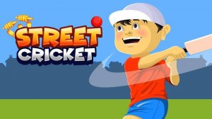 Street Cricket Online Game