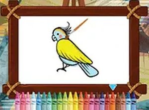 Tropical Bird Art Studio